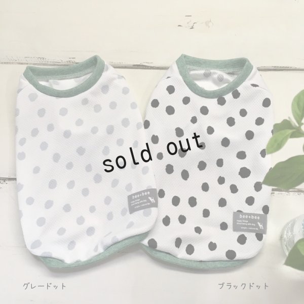 画像2: -クール素材- ランダムドット