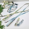 画像1: カラー&リード&ハーネス　リラペタル (1)