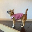 画像5: キャンディドット&ボーダーTシャツ (5)
