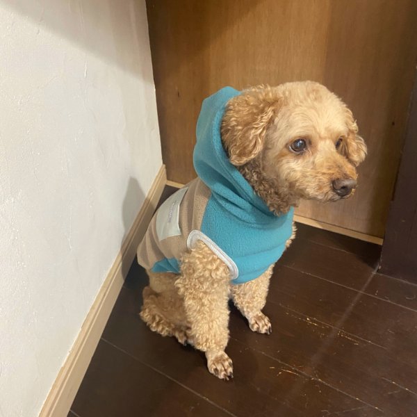 画像6: フリースカラーブロックパーカー