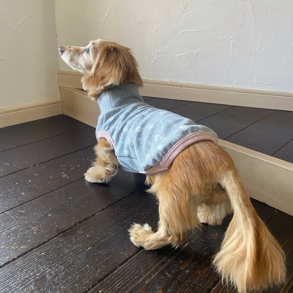 画像4: ノルドツリーハイネックT