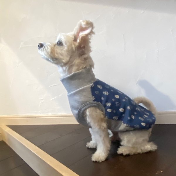 画像5: ノルドツリーハイネックT