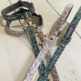 画像4: カラー&リード　プランティカ (4)