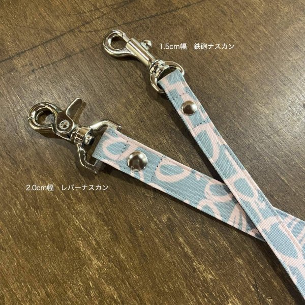 画像5: カラー&リード　プランティカ