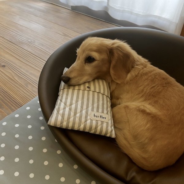 画像6: クール&ウォームバッグ　ナチュラルストライプ (6)