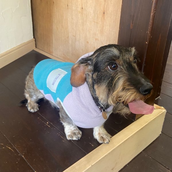 画像4: フリースカラーブロックパーカー (4)