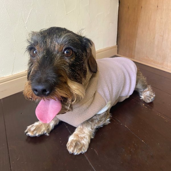 画像5: フリースカラーブロックパーカー (5)