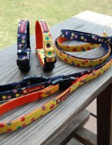 画像: bb-2472　colorful freak dot