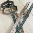 画像4: カラー&リード　プランティカ (4)